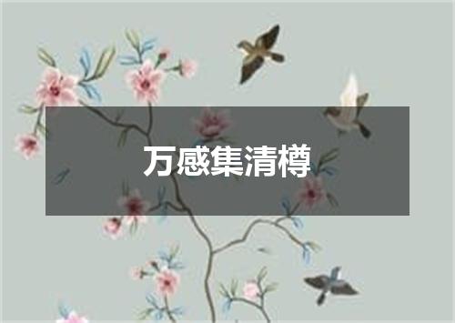 万感集清樽