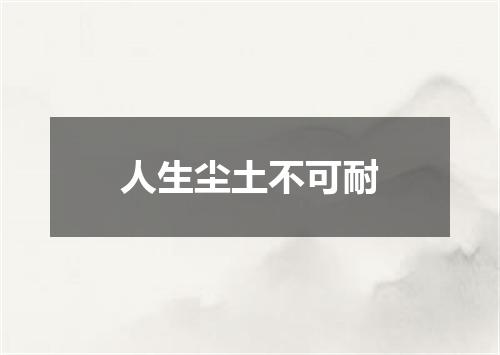 人生尘土不可耐
