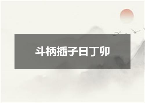斗柄插子日丁卯
