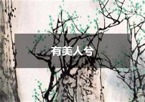 有美人兮