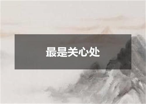 最是关心处