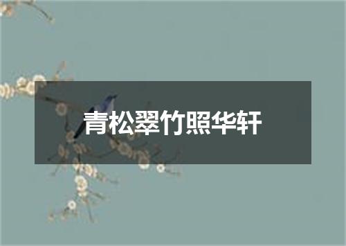 青松翠竹照华轩
