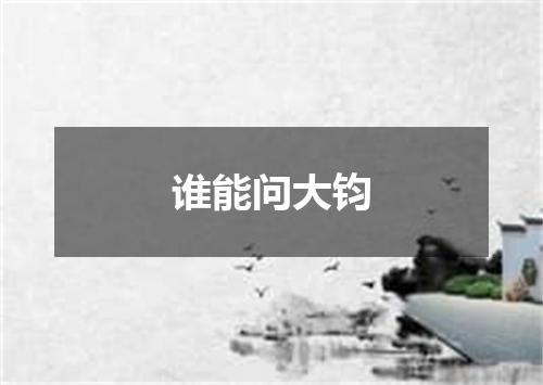 谁能问大钧