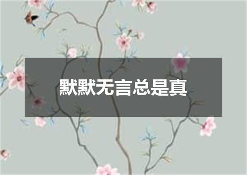 默默无言总是真