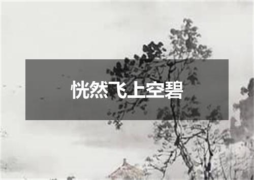 恍然飞上空碧