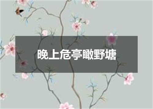晚上危亭瞰野塘
