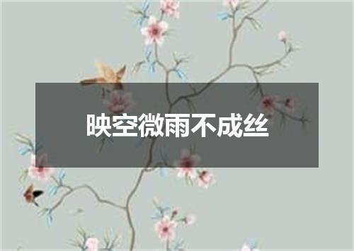 映空微雨不成丝