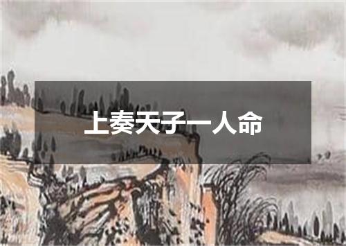 上奏天子一人命