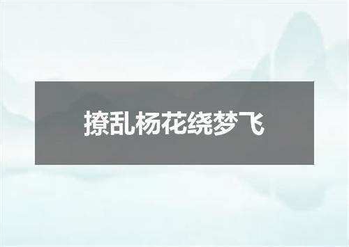 撩乱杨花绕梦飞