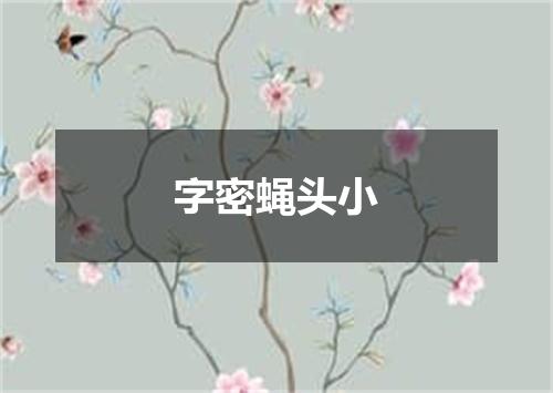 字密蝇头小