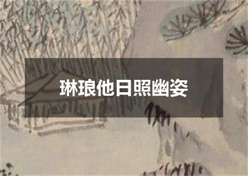 琳琅他日照幽姿