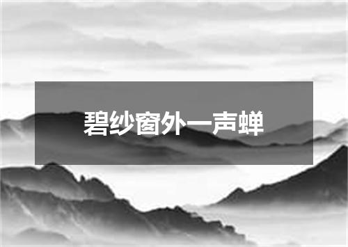 碧纱窗外一声蝉