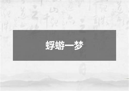 蜉蝣一梦