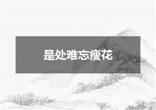 是处难忘瘦花