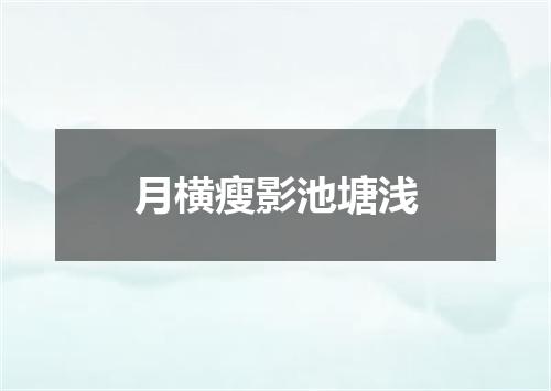 月横瘦影池塘浅