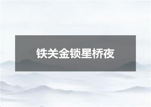 铁关金锁星桥夜