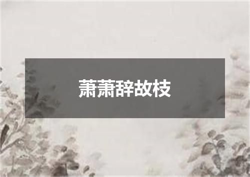 萧萧辞故枝