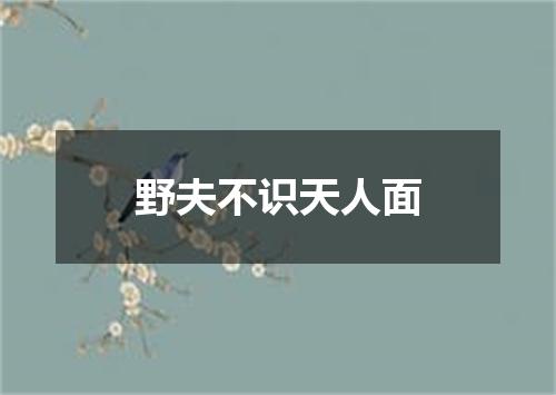 野夫不识天人面