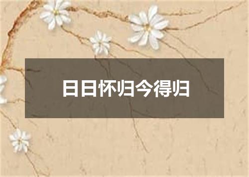 日日怀归今得归