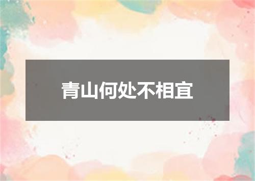 青山何处不相宜