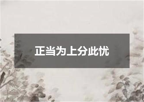 正当为上分此忧