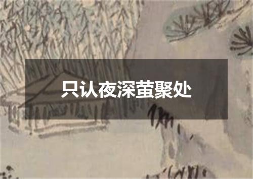 只认夜深萤聚处