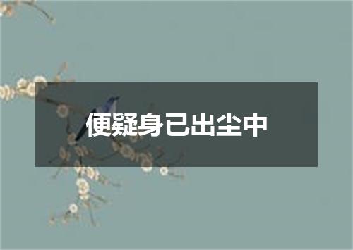 便疑身已出尘中