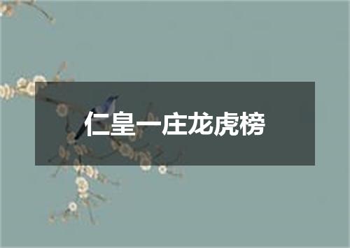 仁皇一庄龙虎榜