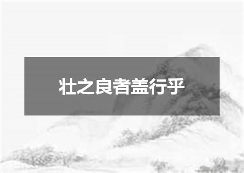 壮之良者盖行乎