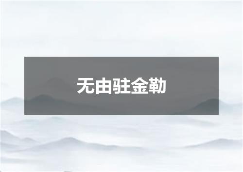 无由驻金勒