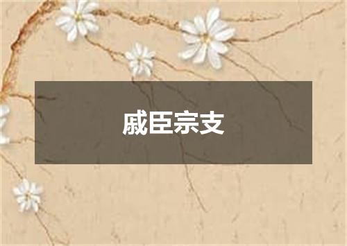 戚臣宗支