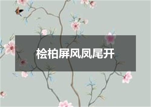 桧柏屏风凤尾开