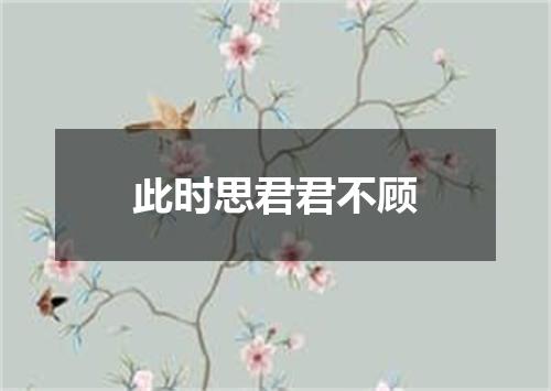 此时思君君不顾