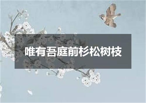 唯有吾庭前杉松树枝