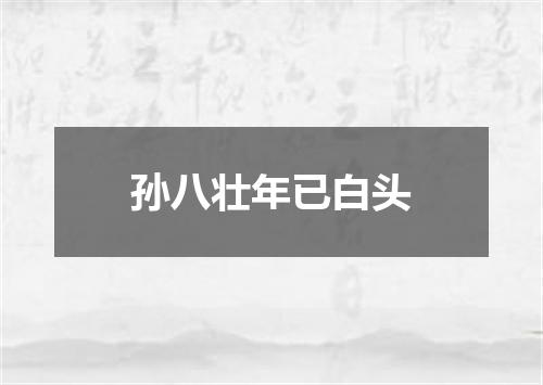 孙八壮年已白头