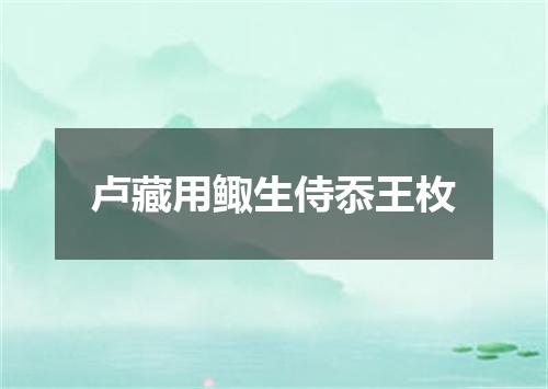 卢藏用鲰生侍忝王枚