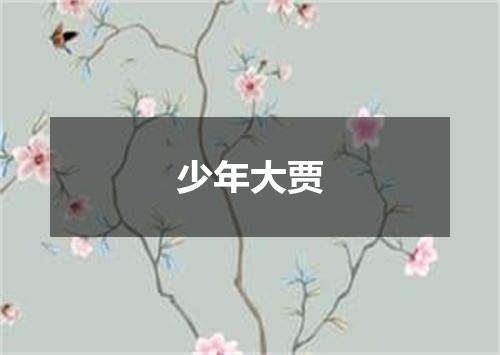 少年大贾