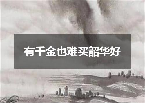 有千金也难买韶华好