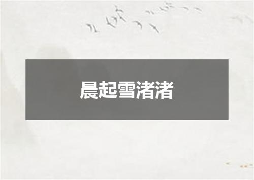 晨起雪渚渚