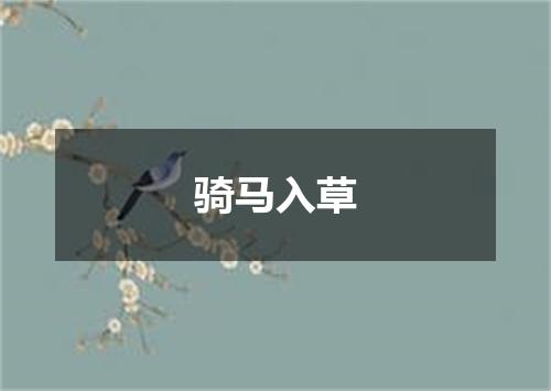 骑马入草