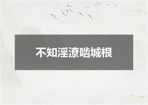 不知淫潦啮城根