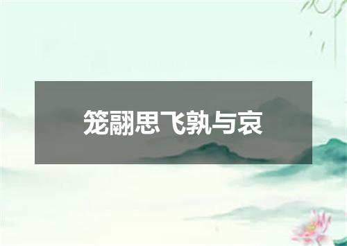 笼翮思飞孰与哀