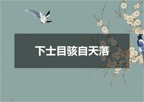 下士目骇自天落