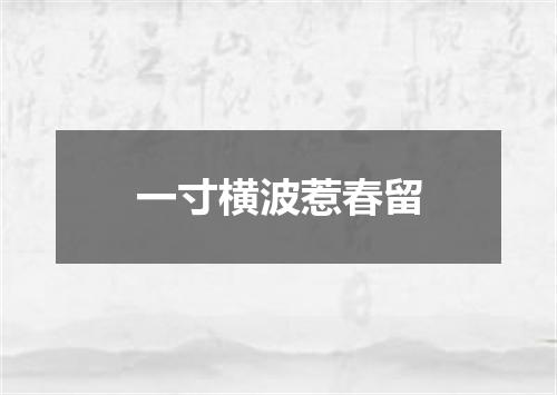 一寸横波惹春留