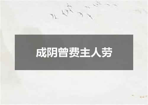 成阴曾费主人劳