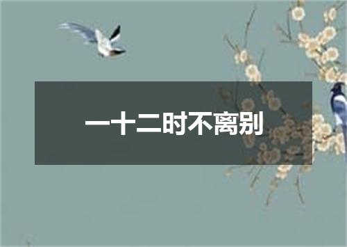 一十二时不离别