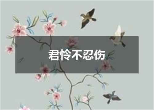 君怜不忍伤