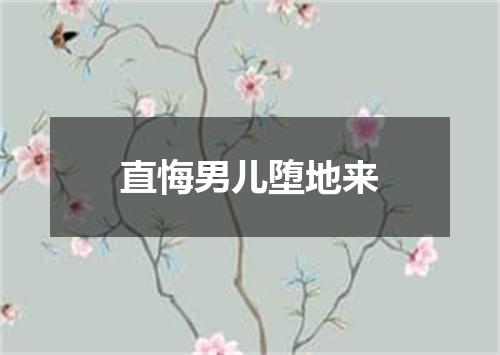 直悔男儿堕地来