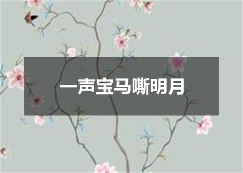 一声宝马嘶明月