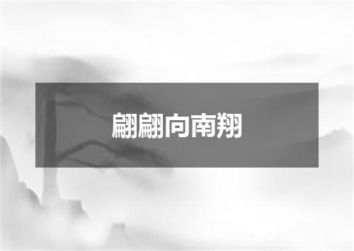 翩翩向南翔